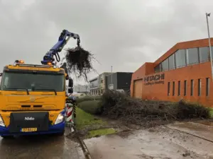 foto website www.snijdershoveniers 21